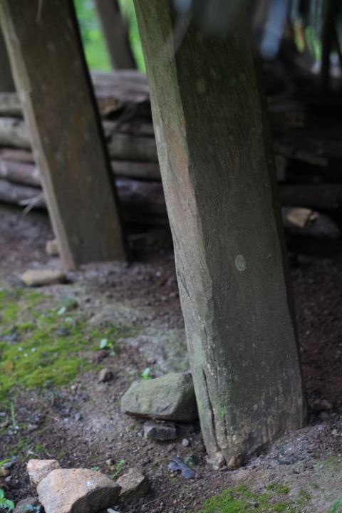Details Comparison