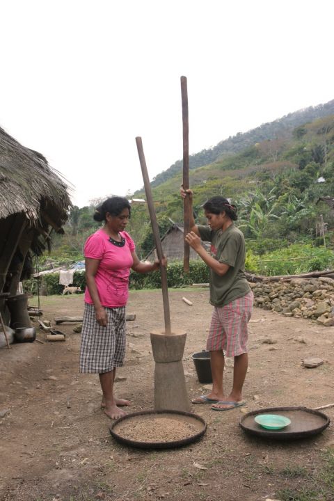 The People of Waerebo
