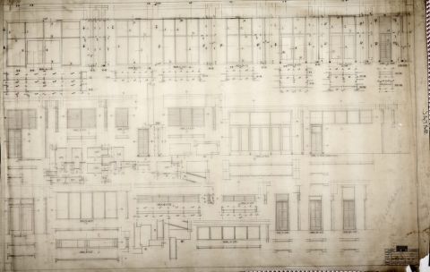 [Herbarium Bogoriense Detail kusen]