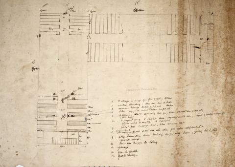 [Herbarium Bogoriense] drawing